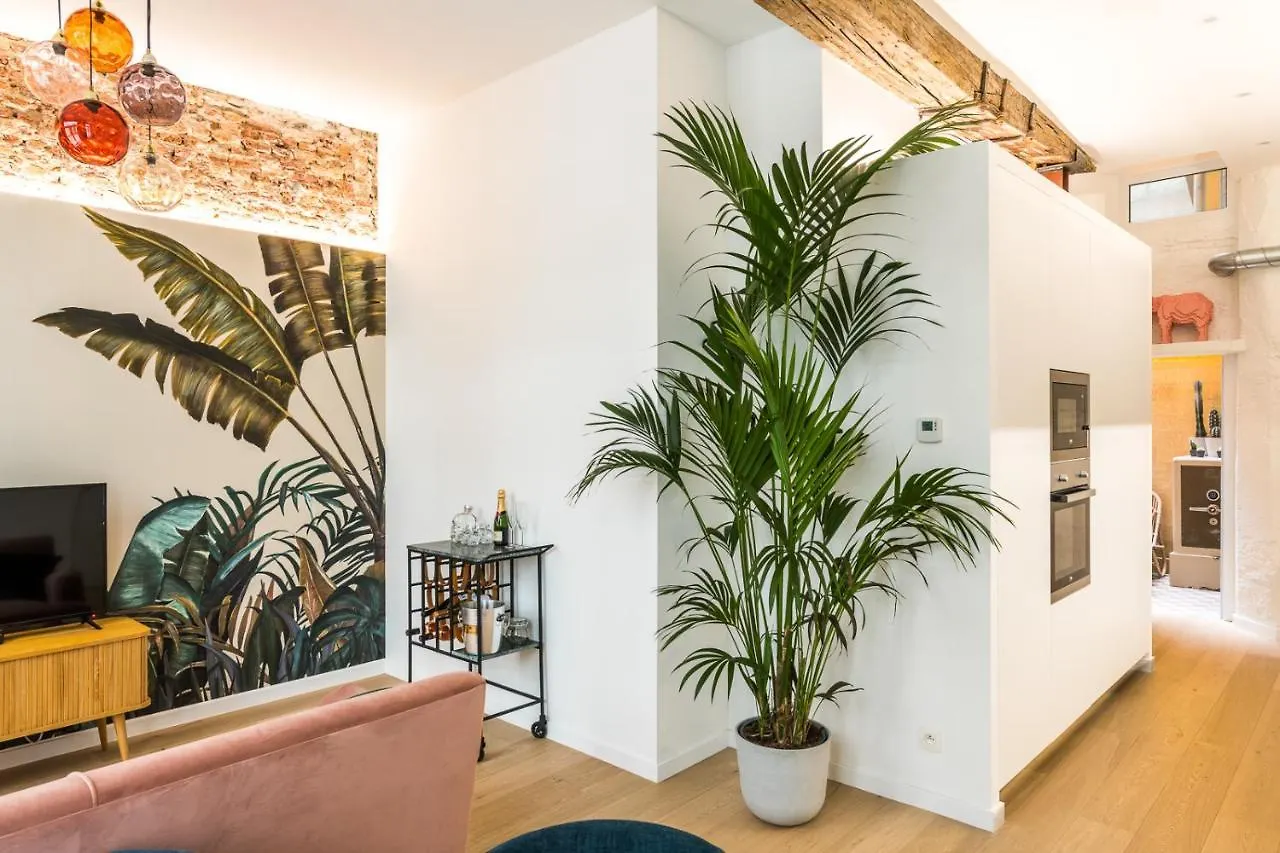 Apartment Beautiful Appartment In The Heart Of Antwerp Belgium